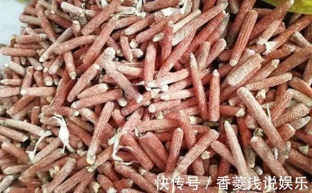 1把核桃垫盆底,不烂根、不招虫,疯长停不下来!