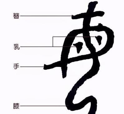 毒草!母亲这么伟大,为何毒下面是个母字,和“最毒妇人心”有关联吗?