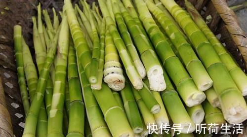 血脂|血管“最爱”的6样食物，每天坚持吃，清血管降血脂，远离血栓