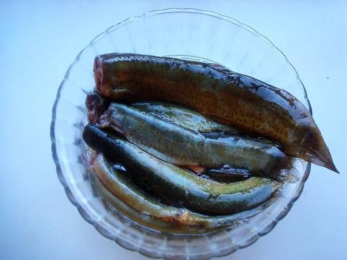 惊蛰了做泥鳅时，不能直接下锅，学会这一招，不腥不碎太香