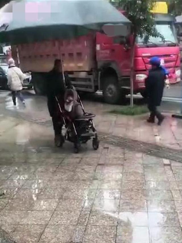 安全意识|“霸气爷爷”走红网络，下雨天带孙子出门，超豪华雨伞引路人围观