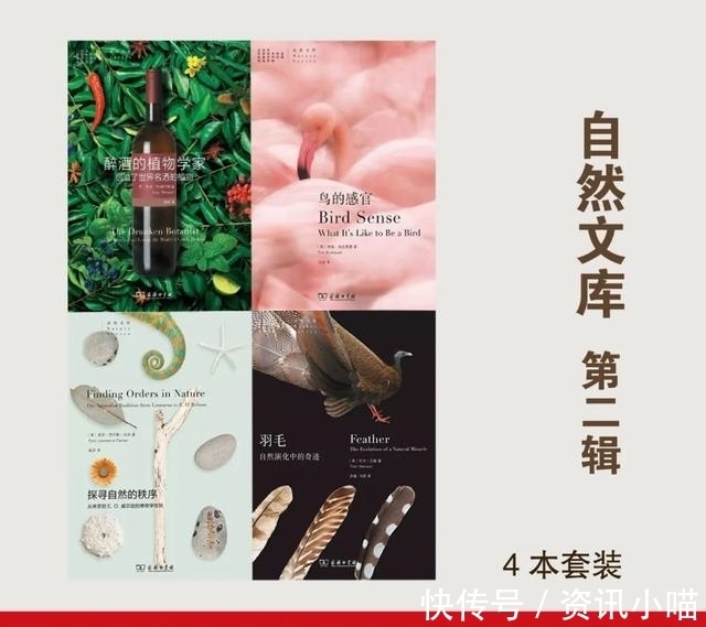 文化|历史、文化、传记……推荐几套内容丰富又精彩的人文社科好书