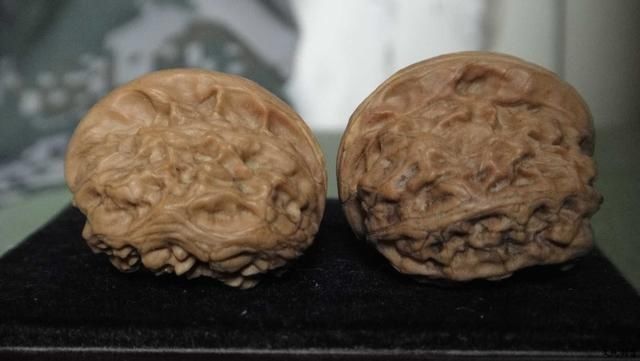 文玩|“不可貌相”丑到不想再看第二眼的文玩,竟然很珍贵