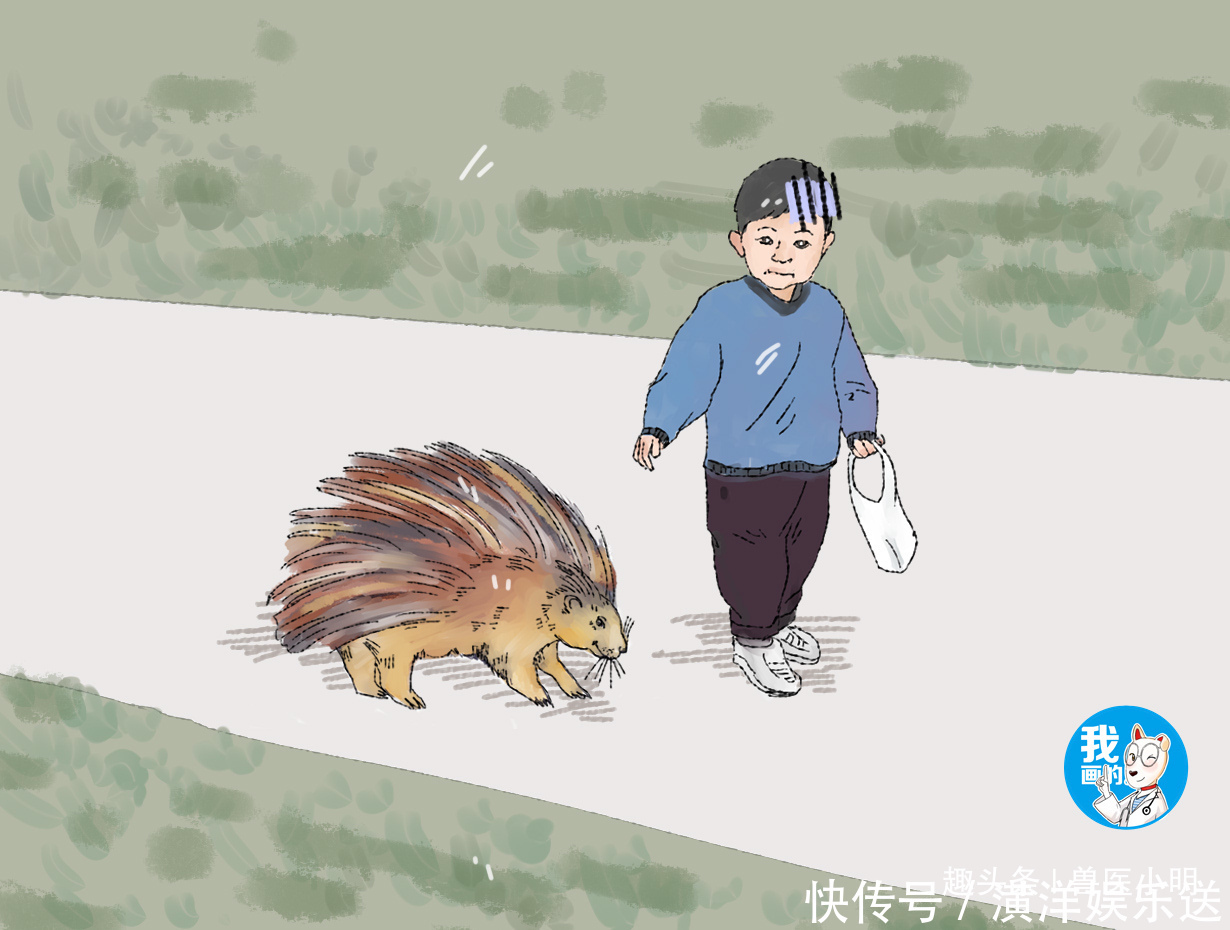 小明|小孩被同学欺负,隔天带了“凶兽”去复仇,老爸知道后赶紧去追