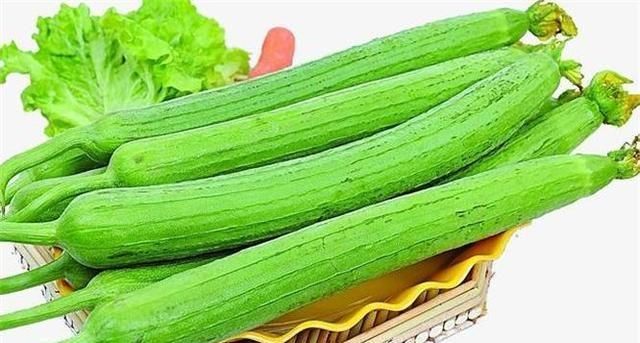  营养|女性借钱也要吃的四种食物，美容养颜，营养滋补，好处多多