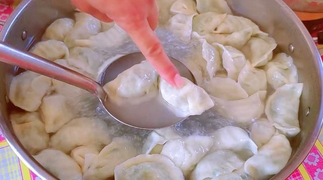 夏天|夏天,用这海鲜包饺子没想到比鲅鱼馅鲜,一次30个不解馋,真好吃