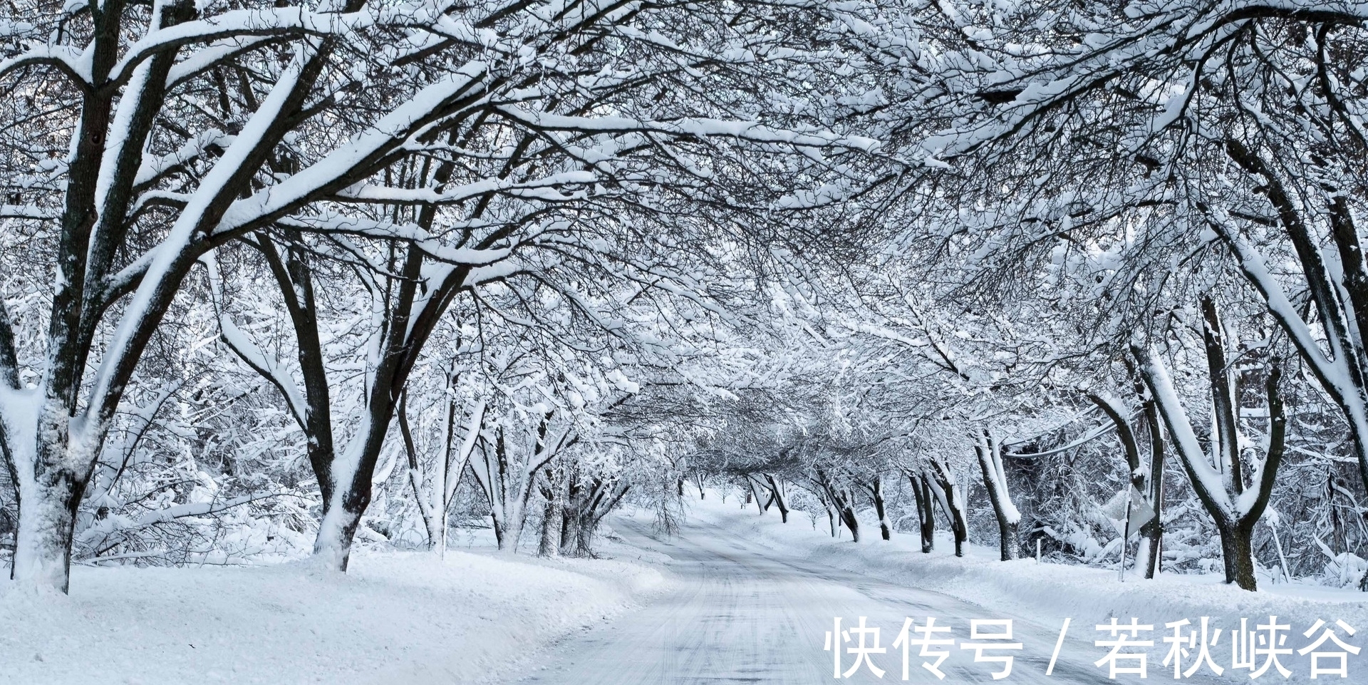 卢梅坡@诗词中的10场雪，《白雪歌送武判官归京》仅列第二，谁高居榜首？