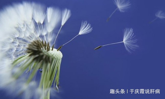 好处|肝不好的女人,睡觉前枸杞配“它”喝,半个月后,好处不请自来