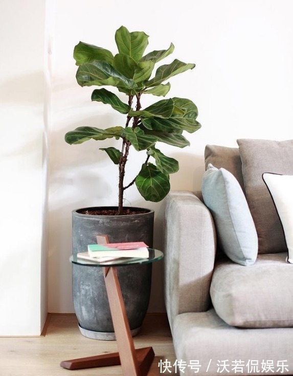 屋主|越来越向往这样的简单装修,不夸张、有品位,全屋温馨耐看!