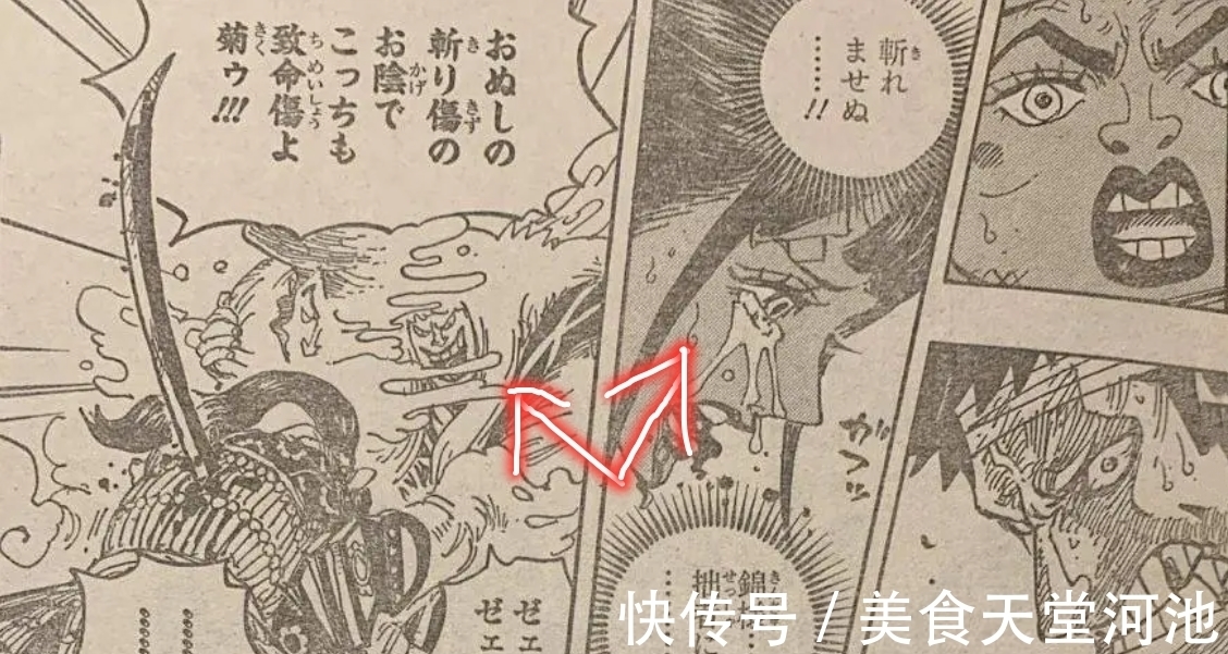 小菊|海贼王1014话，一口气“画死”三个人，凯多结尾一棒槌，看着都痛