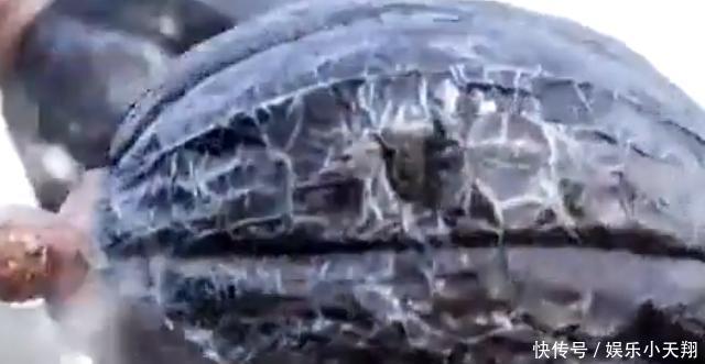 吓跑|隋唐第一隐藏英雄吓跑李元霸，把裴元庆打的灰头土脸！