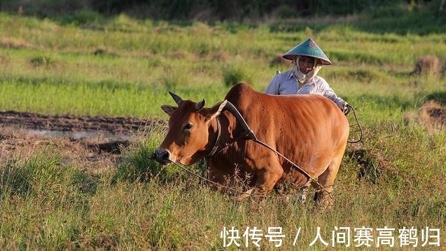 对联|秀才出上联：有木也是桥，无木也是乔，寡妇对出下联，让他很羞愧