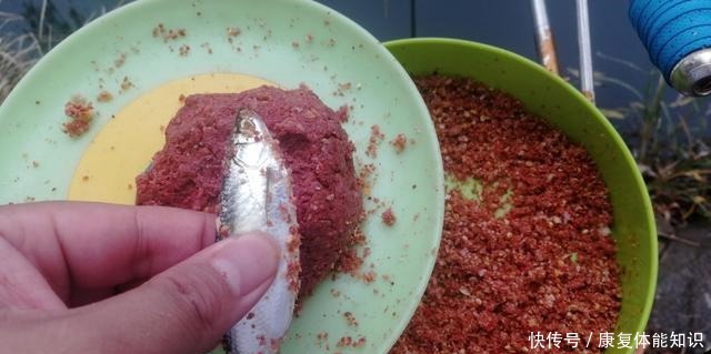 对象鱼|小鱼闹窝并不是坏事,明白这几点,再也不怕小鱼闹!