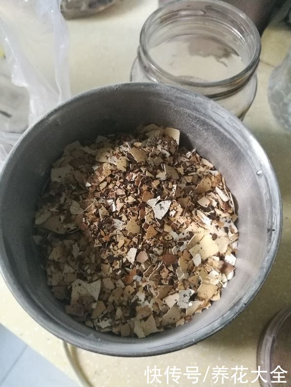 废油|厨余垃圾处理好，变废为宝成花肥，好用还省钱