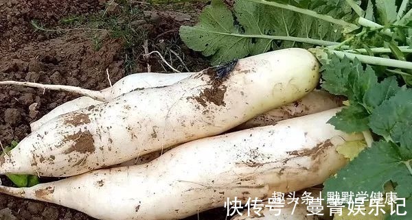 金银花|老中医15个金贵小秘方,一次收藏方便一辈子!