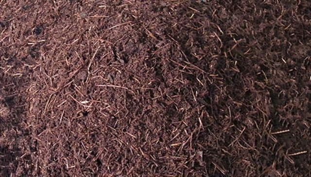 花卉|万能养花之宝,盆里放一点,不黄叶、不烂根、不生虫还不用肥