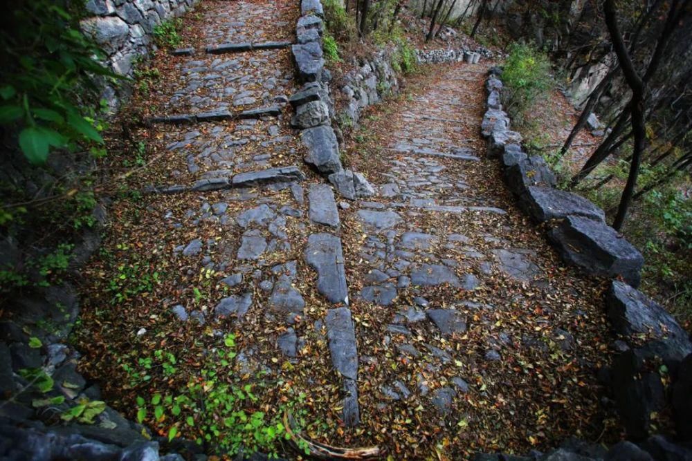 白陉 太行山上的茶马道