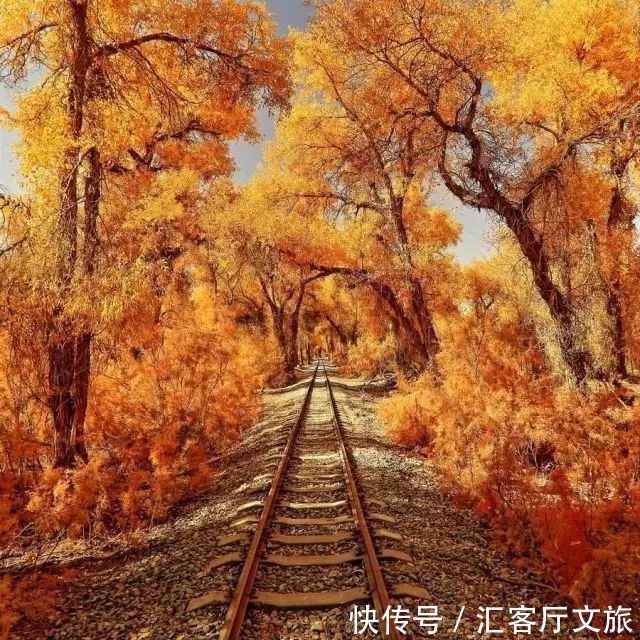 维族|这条“南疆大环线”都没走过？怎么好意思说到过新疆！