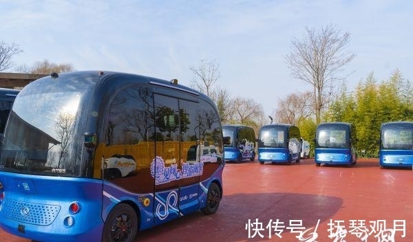 观光巴士|无人驾驶观光巴士走进湖滨