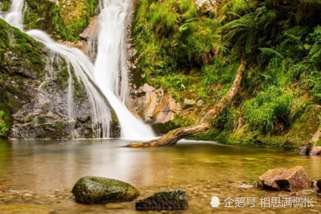 横财|八月开始，横财入运，终于熬出头，财运极佳的生肖