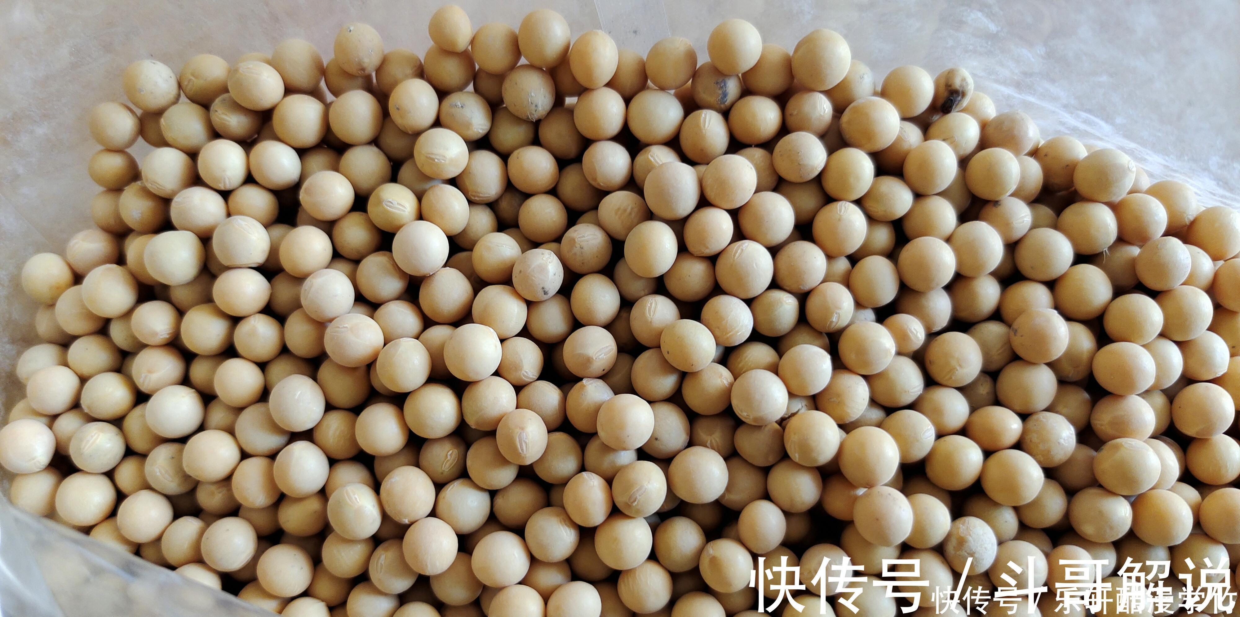 豆浆机|打豆浆,直接把黄豆打浆就错了,早餐店老板教你一招,豆浆香又浓