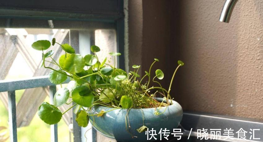 养花基本要求：浇水前后，不注意这些地方，真的要吃亏