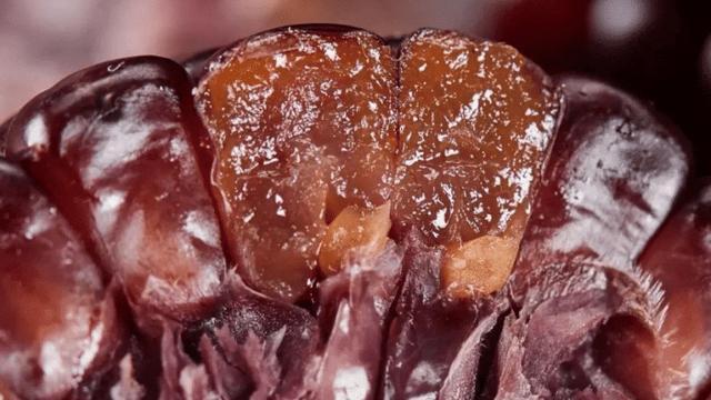 枇杷|越老越要吃得好中老年人营养均衡建议多吃这4种“软黄金”!