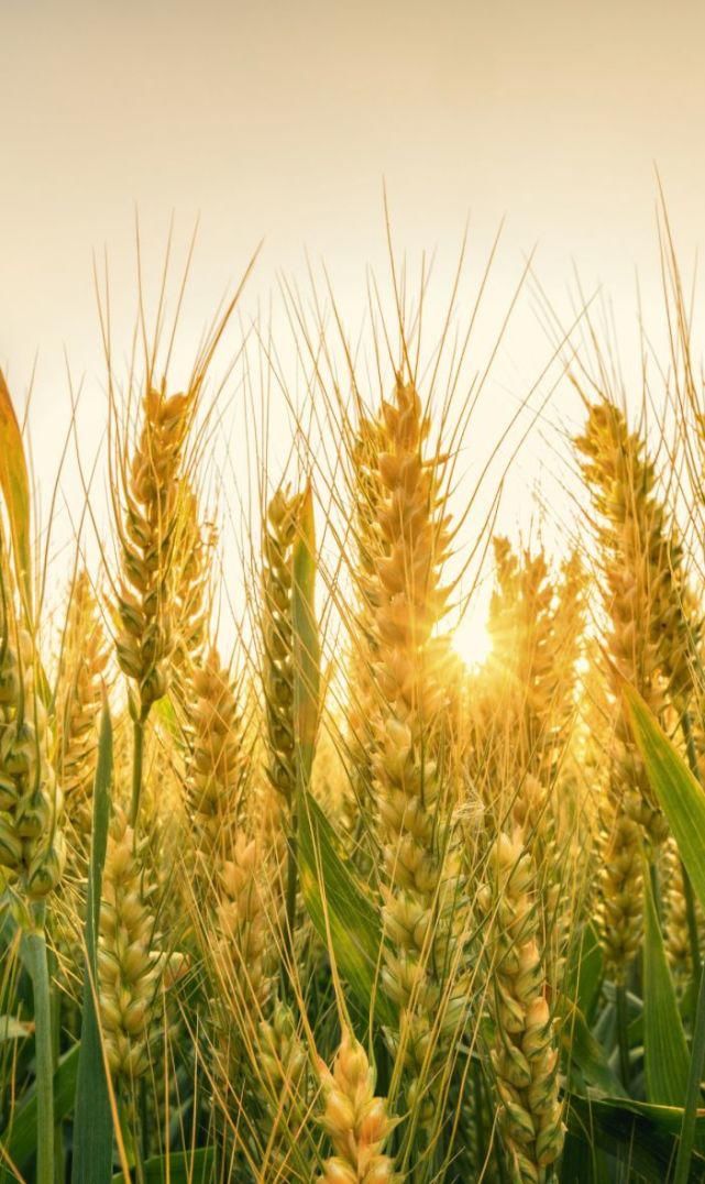  中国最好吃的面条在哪里？