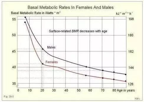 肌肉|年龄越大,如何才能更有效地减肥?教你2招,快速减肥瘦身