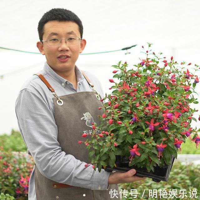 养护|4种花“高颜值”,花朵像“小仙女、红灯笼”,你家有几种?