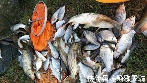 钓位|窝点中有鱼就是不咬钩,先不要换钓位,给你几个建议,很快有变化