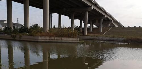 过了处暑鲫鱼越来越好钓,就用这种钓法,上的都是大鲫鱼,很过瘾