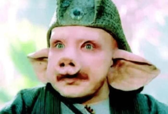 韩国|不同国家的猪八戒,美国、越南可以忍,韩国这是偶像剧吗