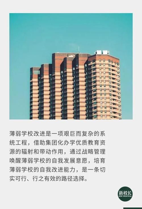 分校|薄弱学校的“内生式”改进，需要清晰的战略管理来唤醒头条