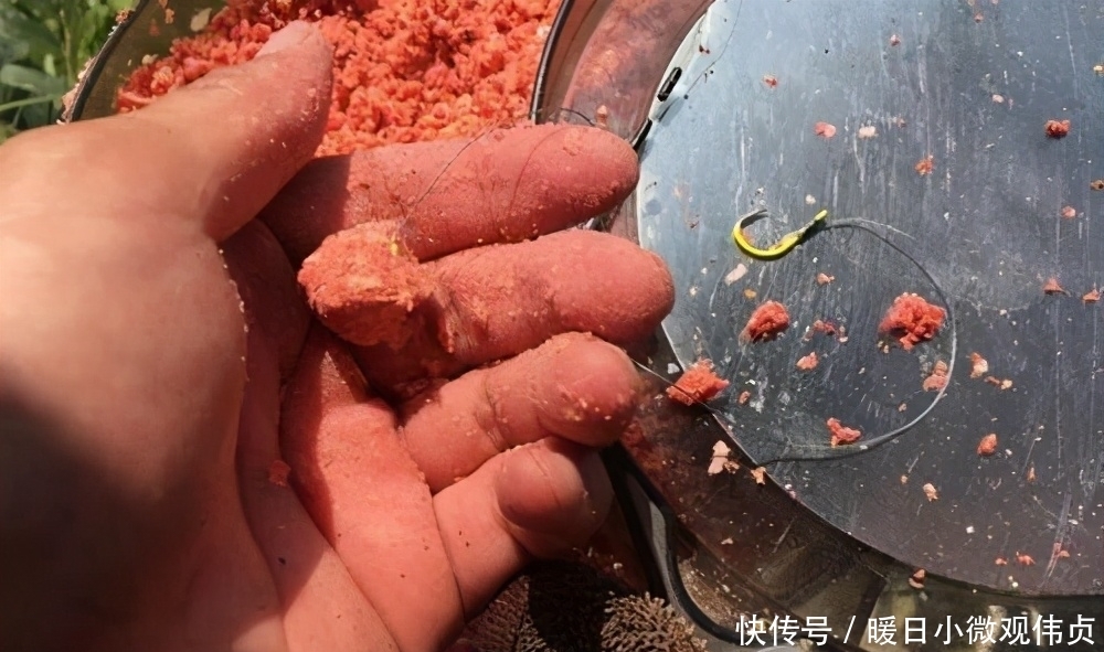 饵料|钓鲢鳙,记住这6步,轻松学会“正确”钓鲢鳙,对新手钓友很有用