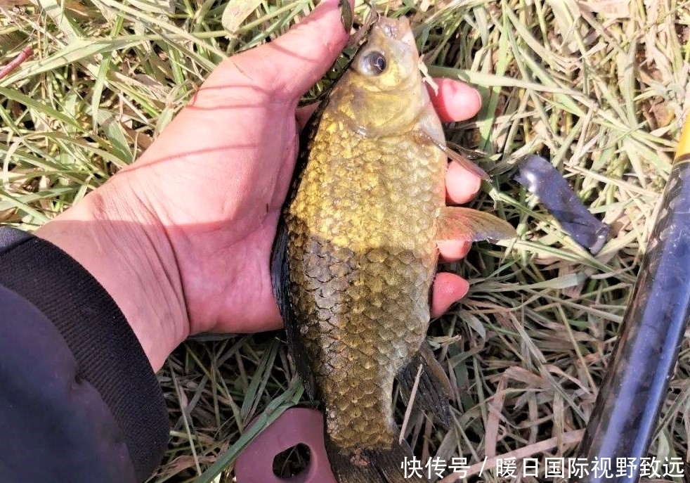 浮漂|钓鱼时长子线与短子线哪个更好?究竟多长的子线合适