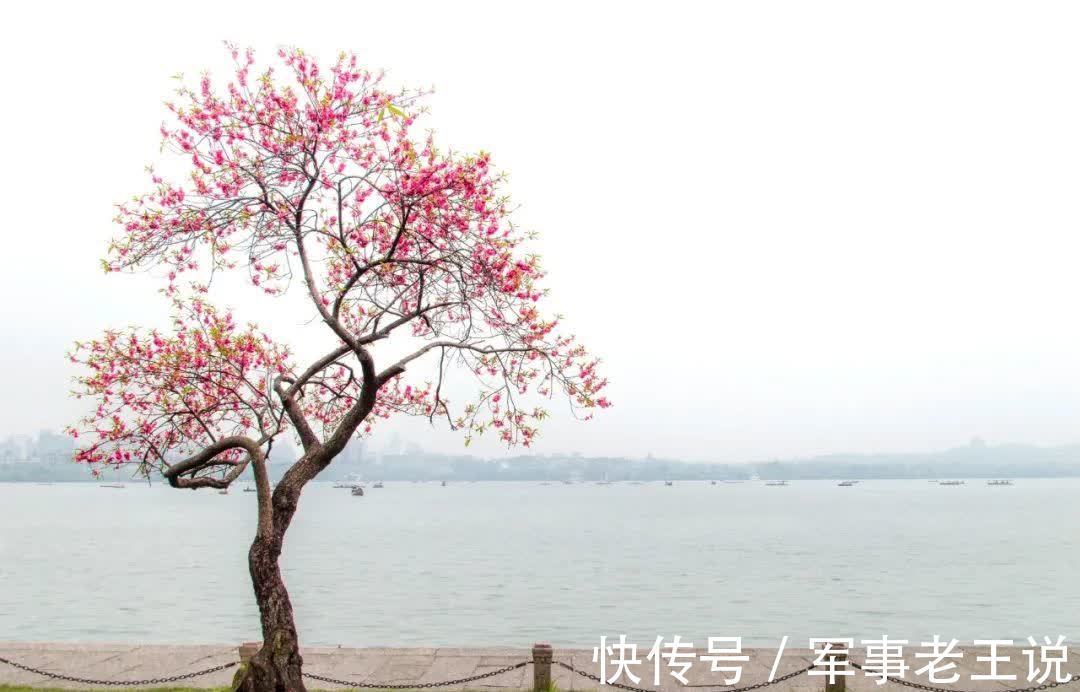 宿新市徐公店#杨万里最经典的10首诗词,映日荷花,午梦扁舟,读一次治愈一次