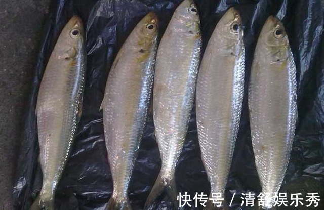 积食|12岁女娃身高166,儿科医生:3物是秋冬身高“拉长剂”,可多食