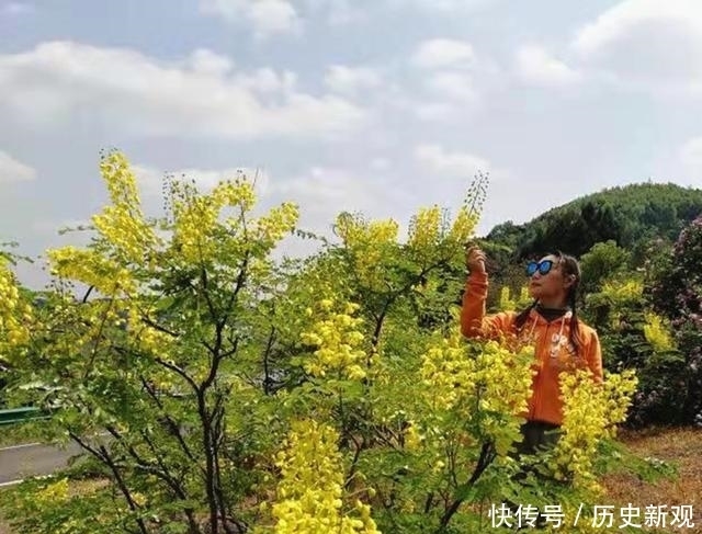 这个春天 成都鲜花山谷呈现出与众不同的花海春色 全网搜 这个春天 成都鲜花山谷呈现出与众不同的花海春色 全网搜