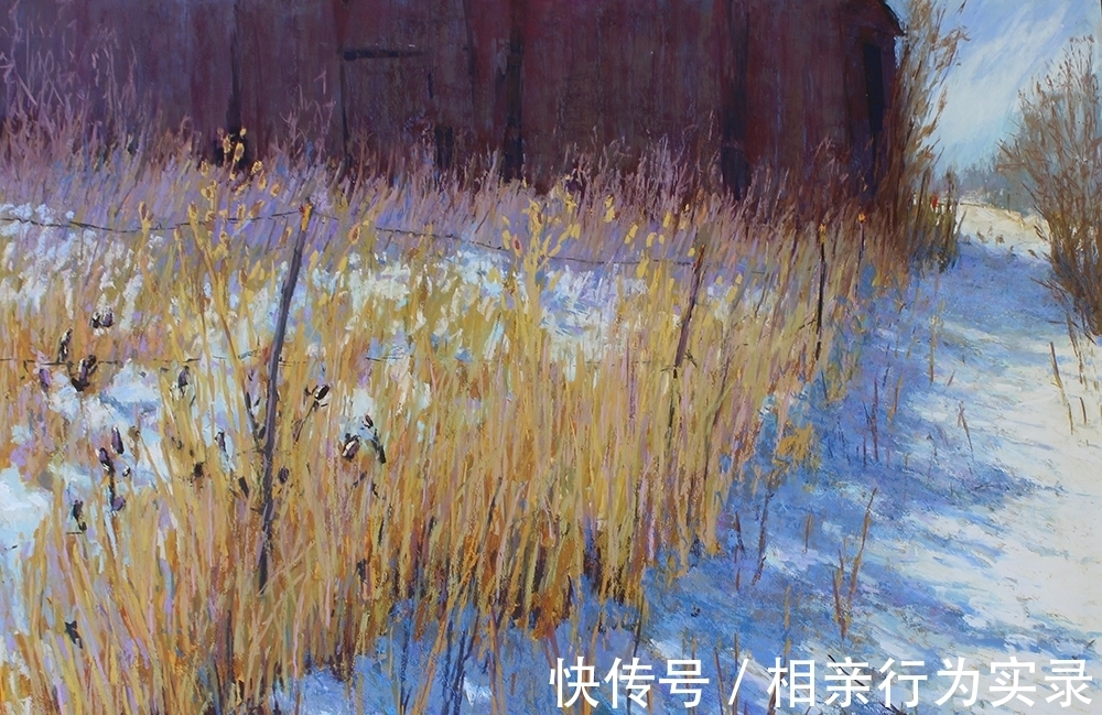 绘画$美国当代色粉画家瓦森