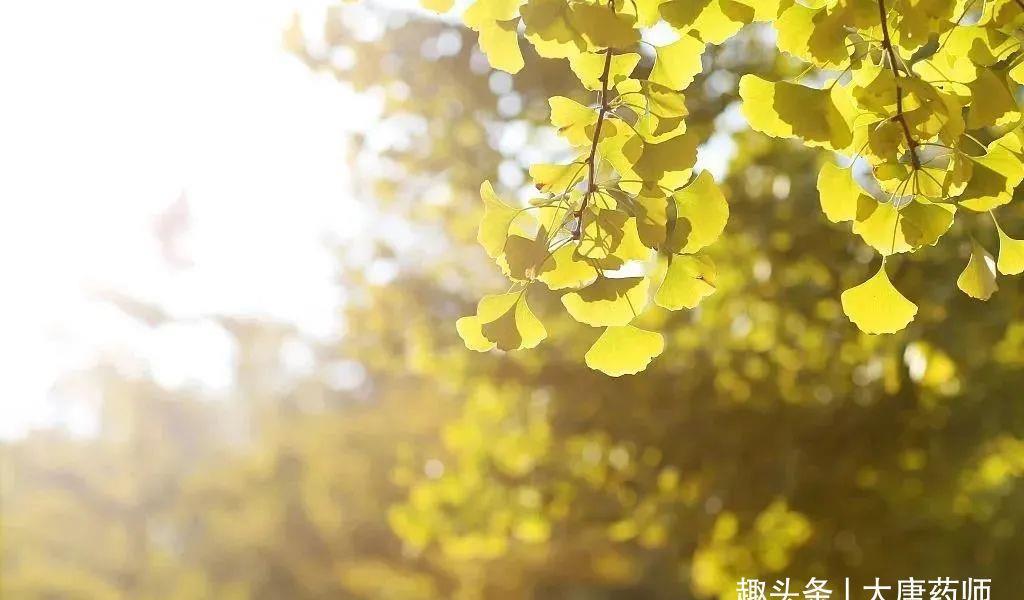 阴两虚|处暑后15天,提升体质黄金期!1个方子,把夏天亏空的气血补回来
