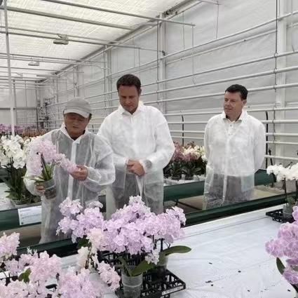 马云现身荷兰农业技术研究机构