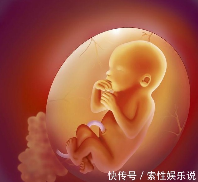 子宫|胎儿在子宫内，怎么吃喝拉撒睡6个有趣的胎儿小知识，涨见识！