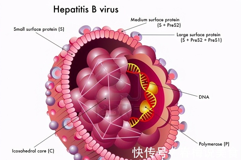 时光倒流|错换人生的姚策因肝癌去世，若时光倒流，乙肝母婴阻断能拯救他吗