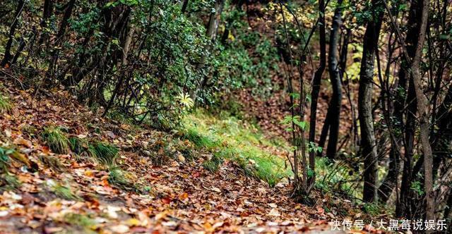 值得|西北最值得去的景区，是“沙漠中的绿洲”，古代修仙的人都住在这