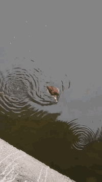 |搞笑趣图:女神和女汉子坐姿的区别