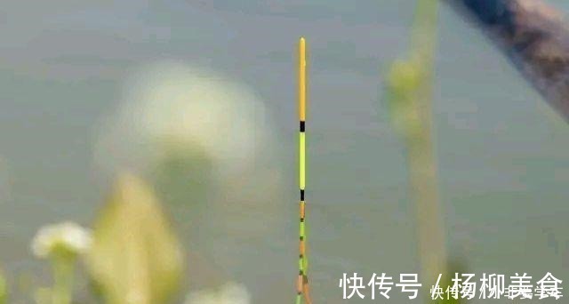 漂相|野钓鲫鱼为何全是送漂,黑漂和钝口很少道理很简单!