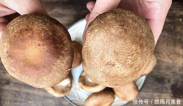 买香菇别只选大的,牢记4个诀窍,香菇鲜嫩好吃,一挑一个准