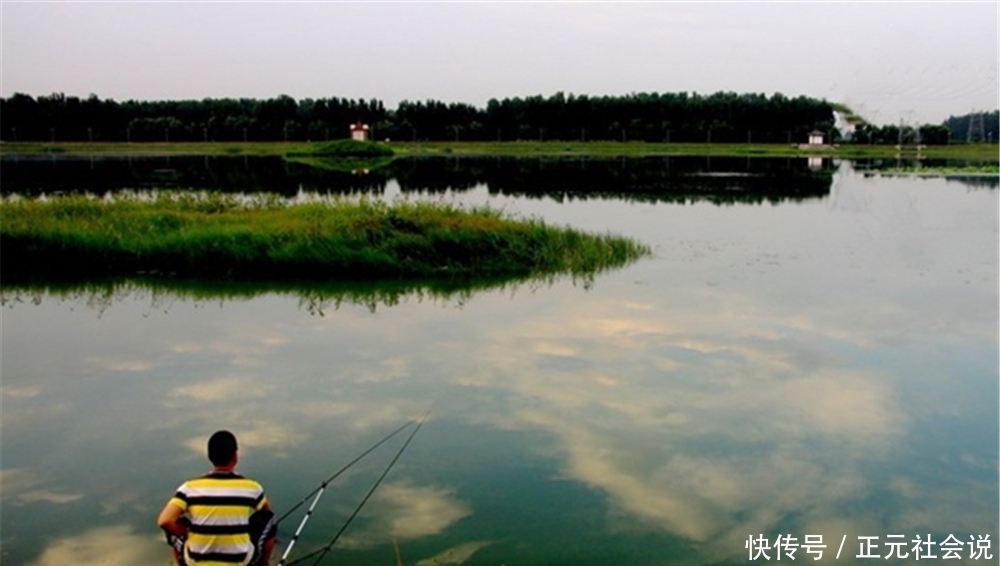 雨天|夏季钓鱼钓早晚,晴天雨天不一样,看准时机再出门,大鱼连竿上!