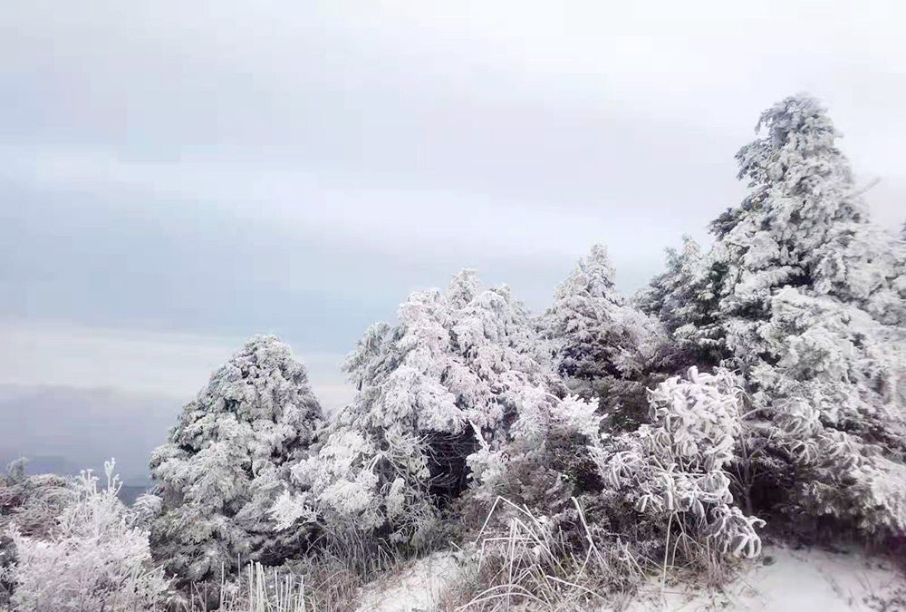 采风|庆元迎来2022年首场降雪！醉美雪景大片惊艳上线~